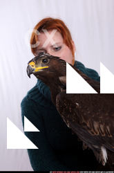 2010 12 KASANDRA FALCONER GOLDEN EAGLE POSES 11.JPG