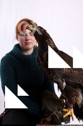 Eagle Adult Average Another Neutral Moving poses Army