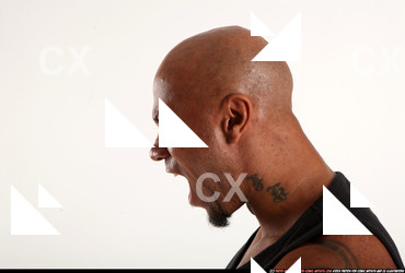 2015 11 RON FE SCREAMING 00