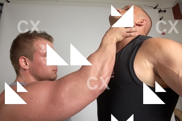 Adult Muscular White Fist fight Standing poses Casual Men