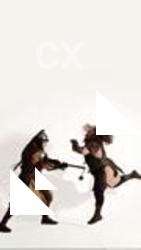 Teon medieval fight smax double attack12