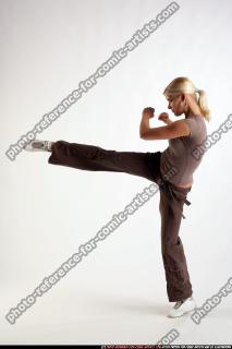 Iva low kick