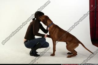 2009 01 DOG RR LOVE 05.jpg