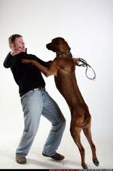 Dog Young Athletic Another Martial art Moving poses
